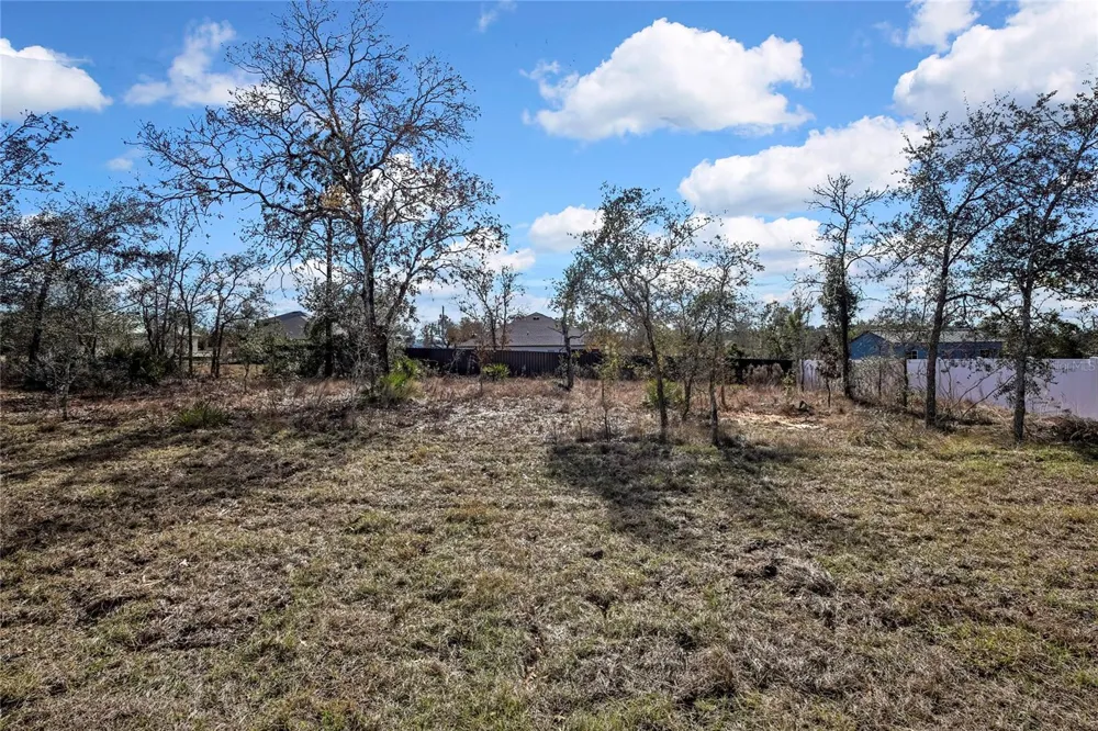 13126 MEADOW SWALLOW AVENUE Brooksville, FL 34613