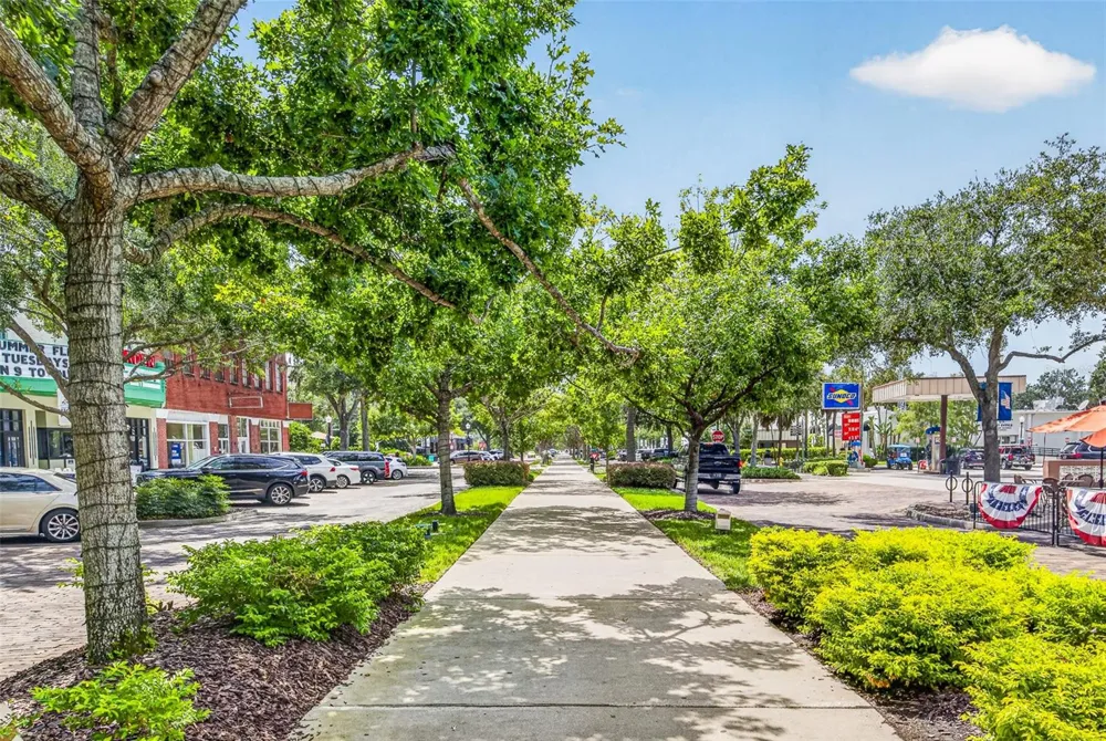 301 VALENCIA COURT Winter Garden, FL 34787