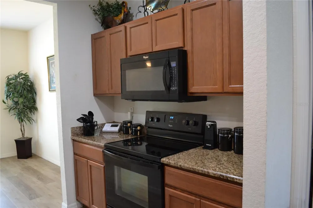2828 BLACKWATER CREEK DRIVE Lakeland, FL 33810