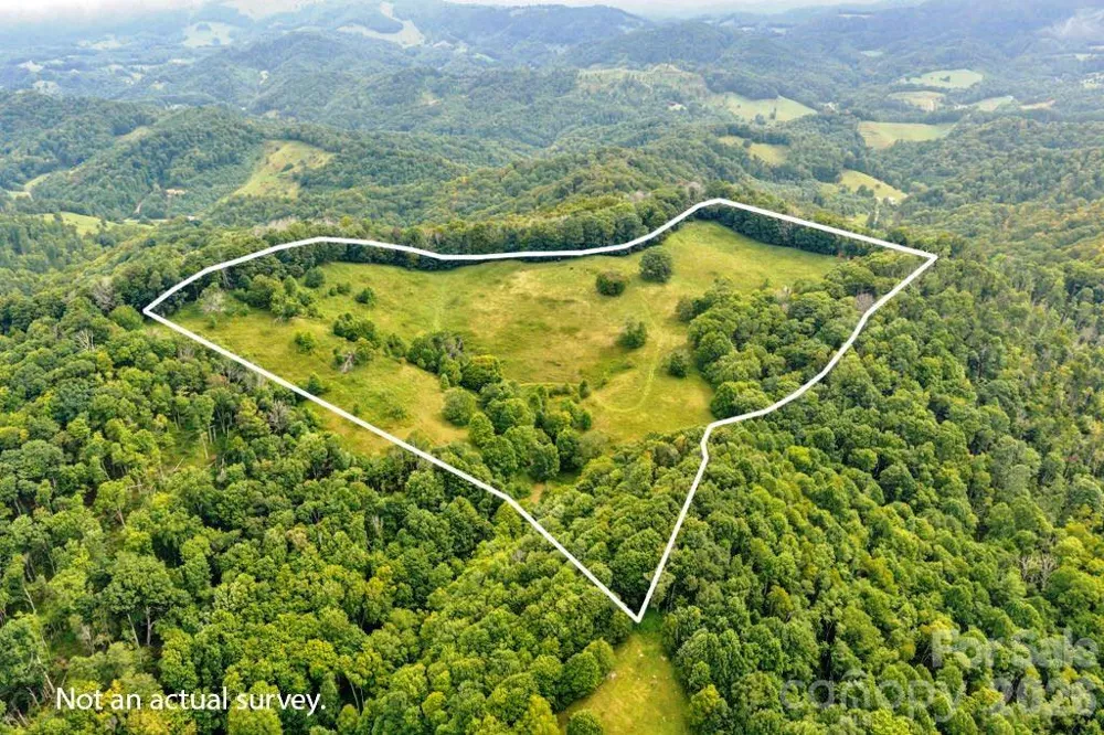 tbd Vaughn Potter Road Zionville, NC 28698