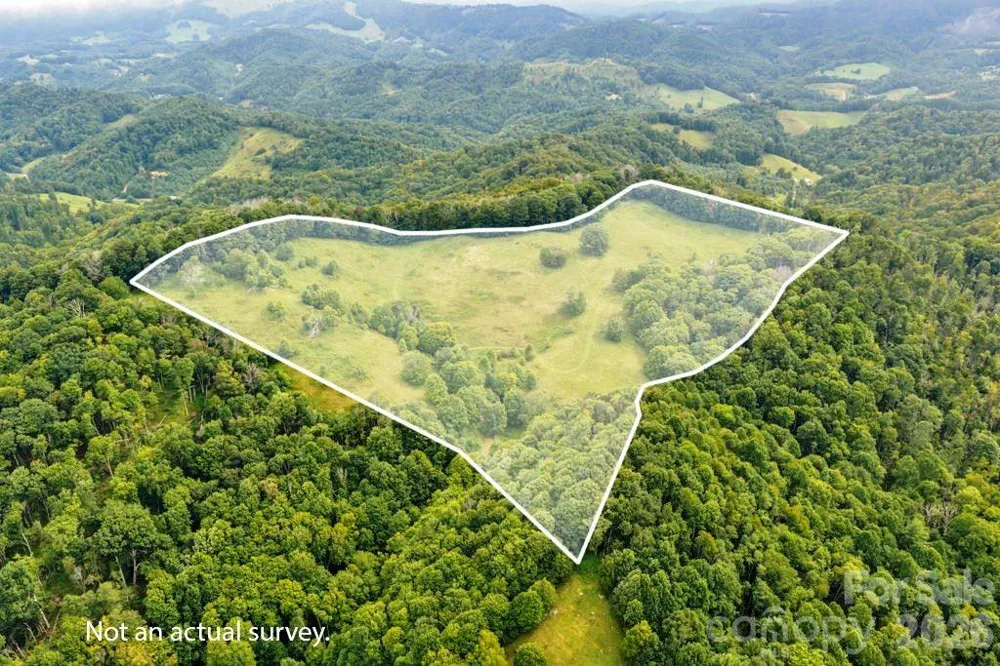 tbd Vaughn Potter Road Zionville, NC 28698