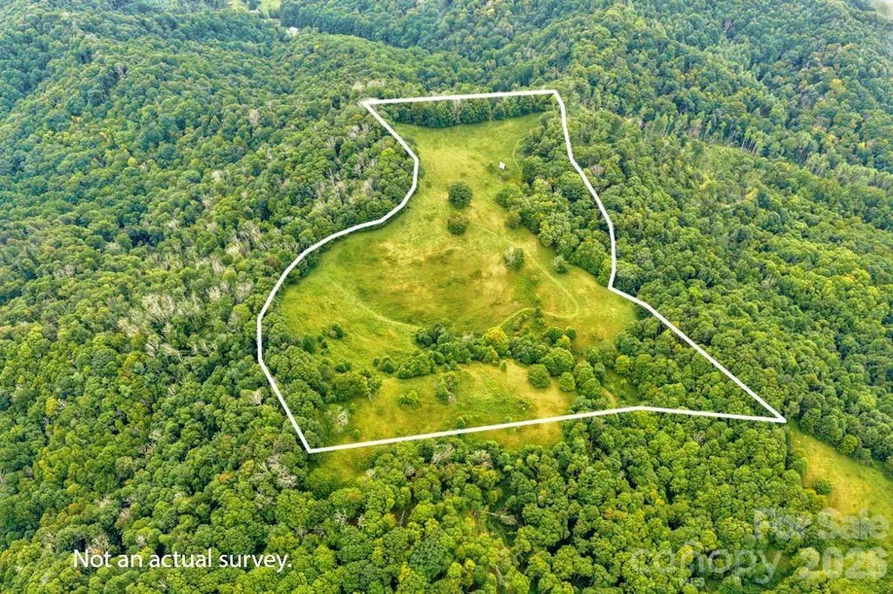 tbd Vaughn Potter Road Zionville, NC 28698