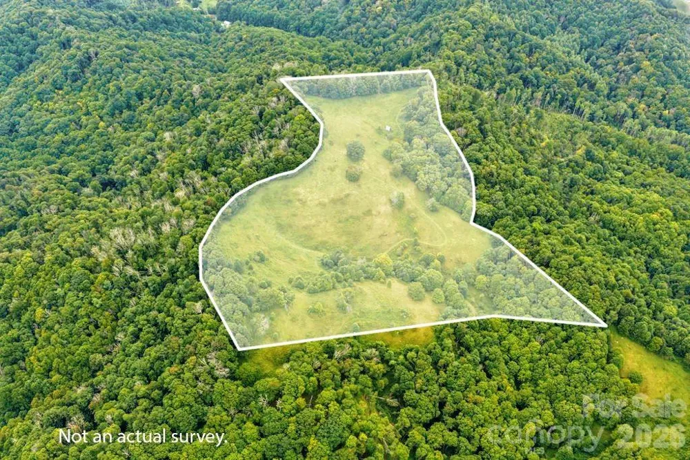 tbd Vaughn Potter Road Zionville, NC 28698
