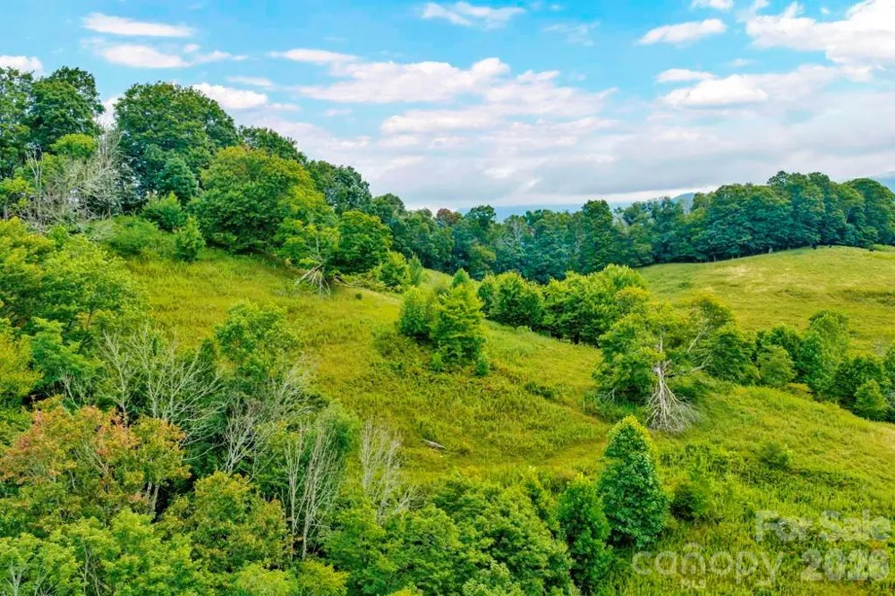 tbd Vaughn Potter Road Zionville, NC 28698
