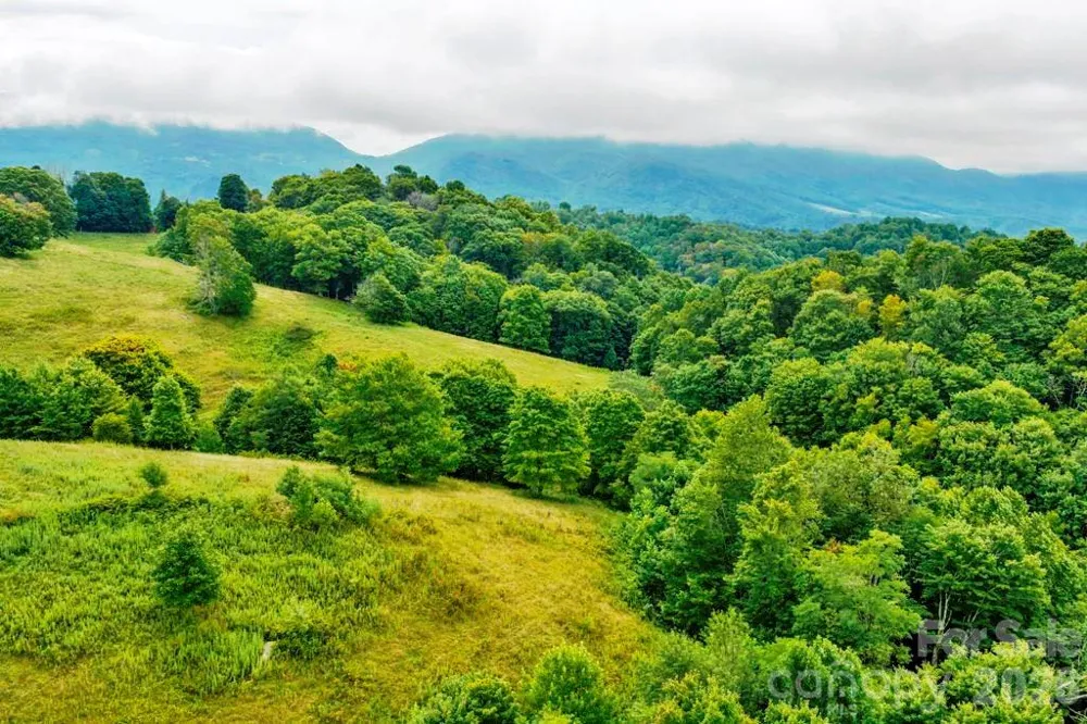 tbd Vaughn Potter Road Zionville, NC 28698