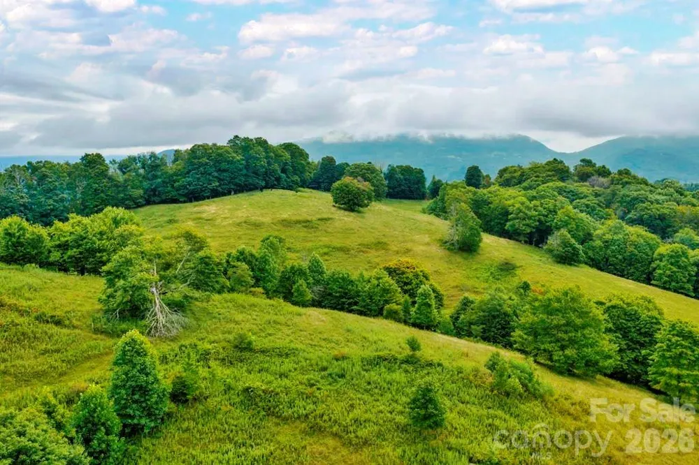 tbd Vaughn Potter Road Zionville, NC 28698