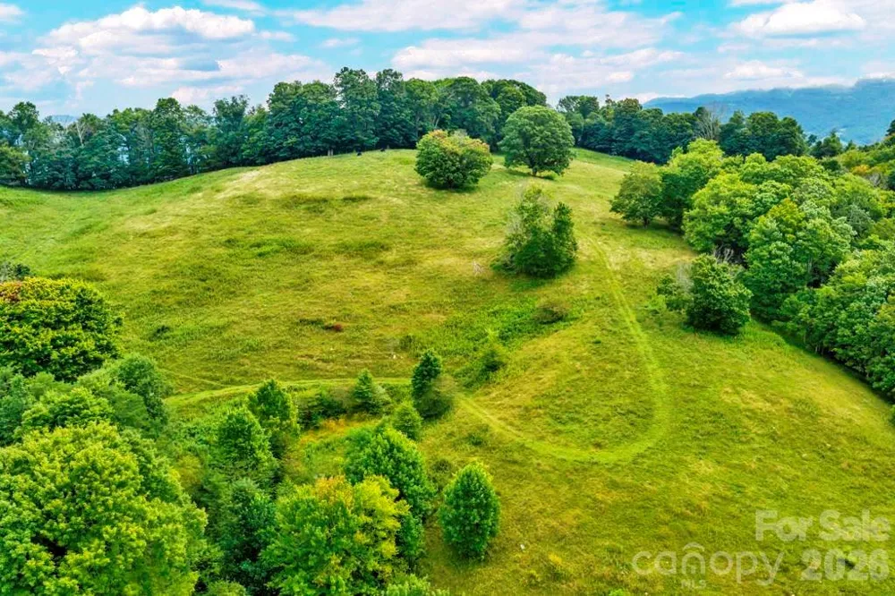 tbd Vaughn Potter Road Zionville, NC 28698
