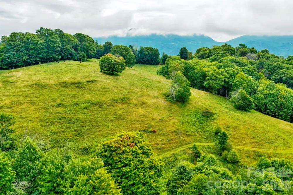 tbd Vaughn Potter Road Zionville, NC 28698