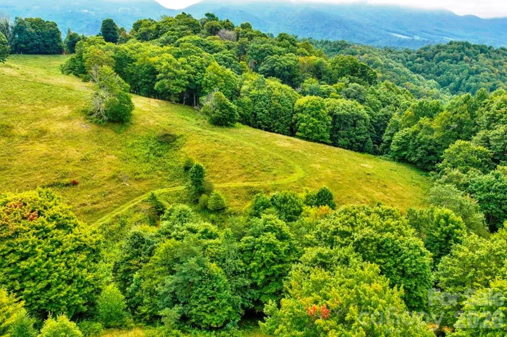 tbd Vaughn Potter Road Zionville, NC 28698