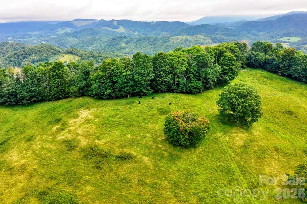 tbd Vaughn Potter Road Zionville, NC 28698