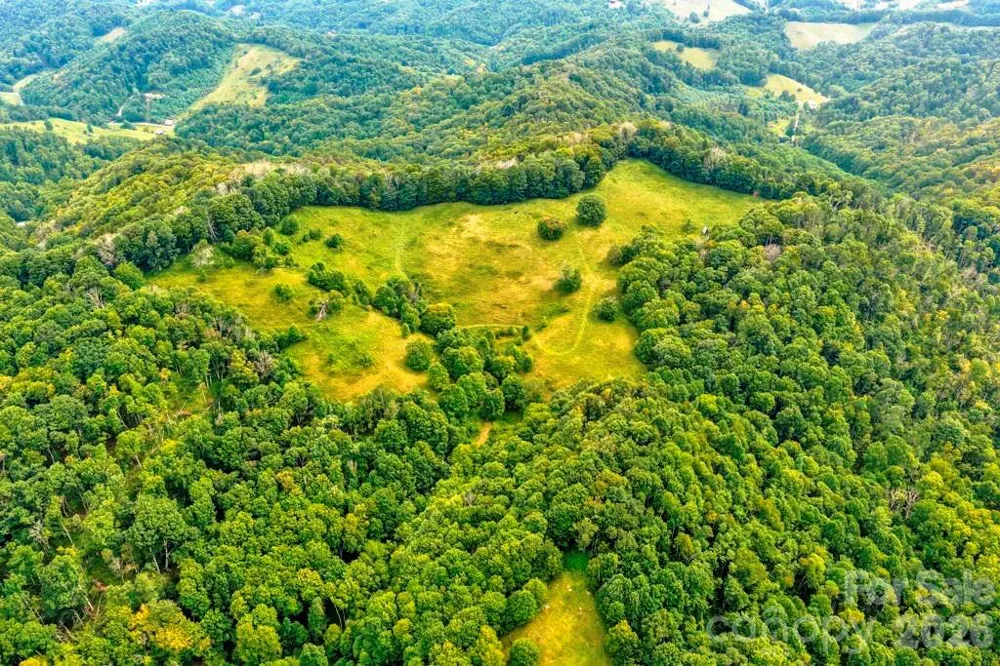 tbd Vaughn Potter Road Zionville, NC 28698