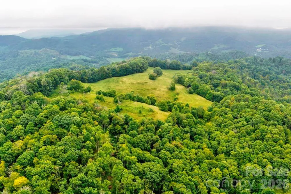tbd Vaughn Potter Road Zionville, NC 28698