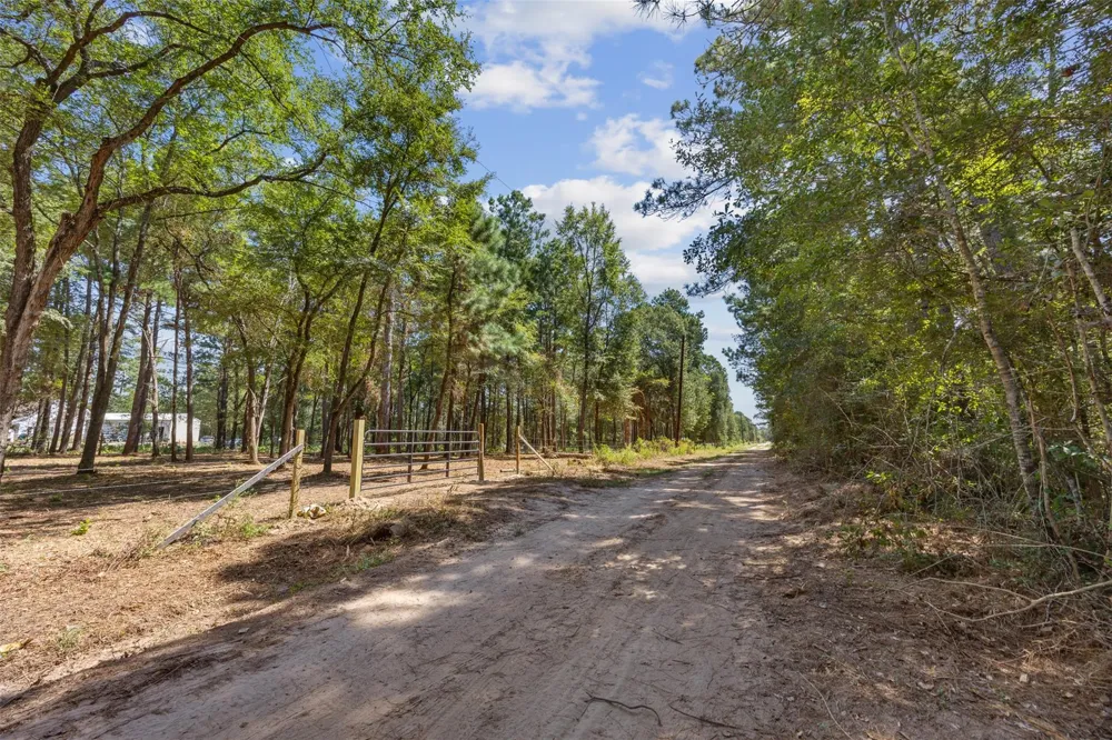 Mitchell Lane Plantersville, TX 77363