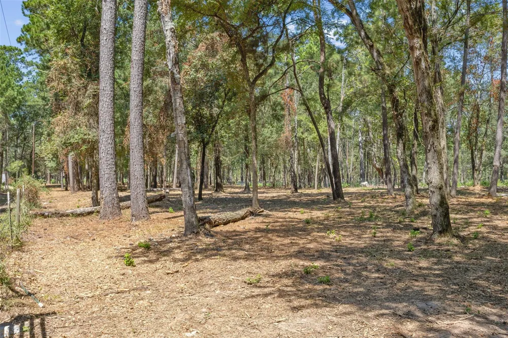 Mitchell Lane Plantersville, TX 77363