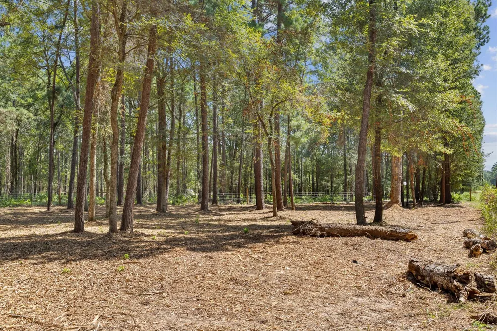 Mitchell Lane Plantersville, TX 77363