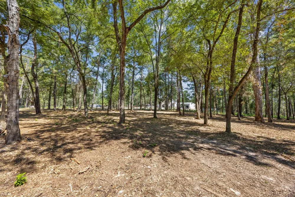 Mitchell Lane Plantersville, TX 77363
