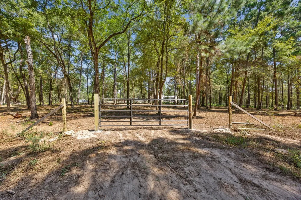 Mitchell Lane Plantersville, TX 77363