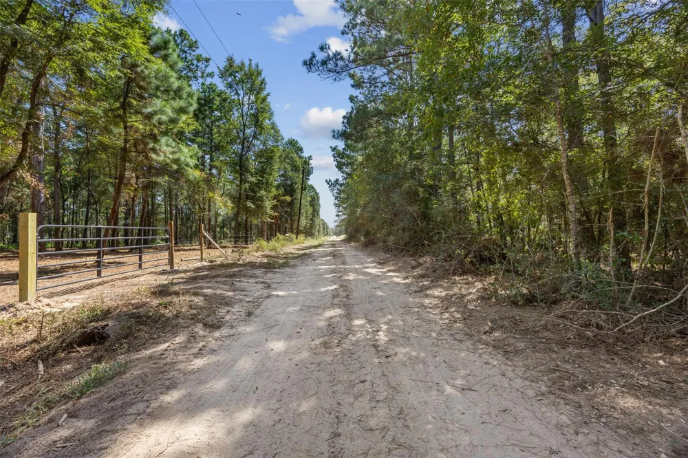 Mitchell Lane Plantersville, TX 77363