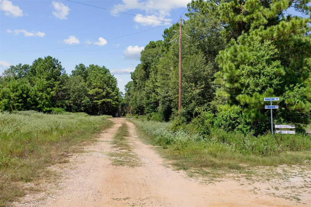 Mitchell Lane Plantersville, TX 77363