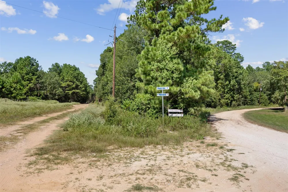 Mitchell Lane Plantersville, TX 77363
