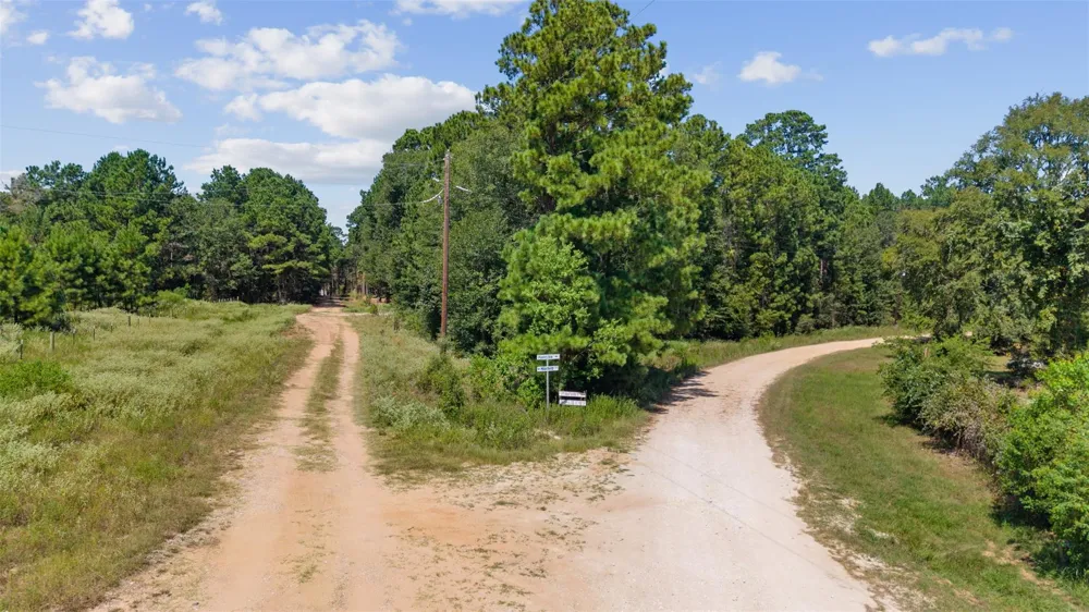 Mitchell Lane Plantersville, TX 77363