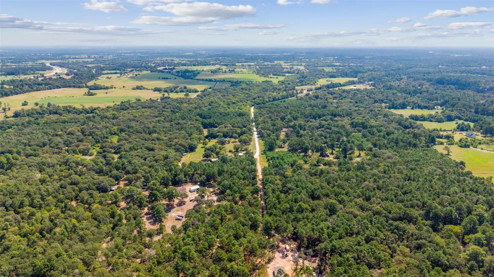 Mitchell Lane Plantersville, TX 77363
