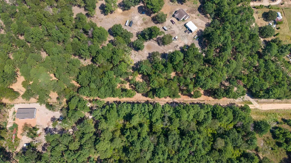 Mitchell Lane Plantersville, TX 77363