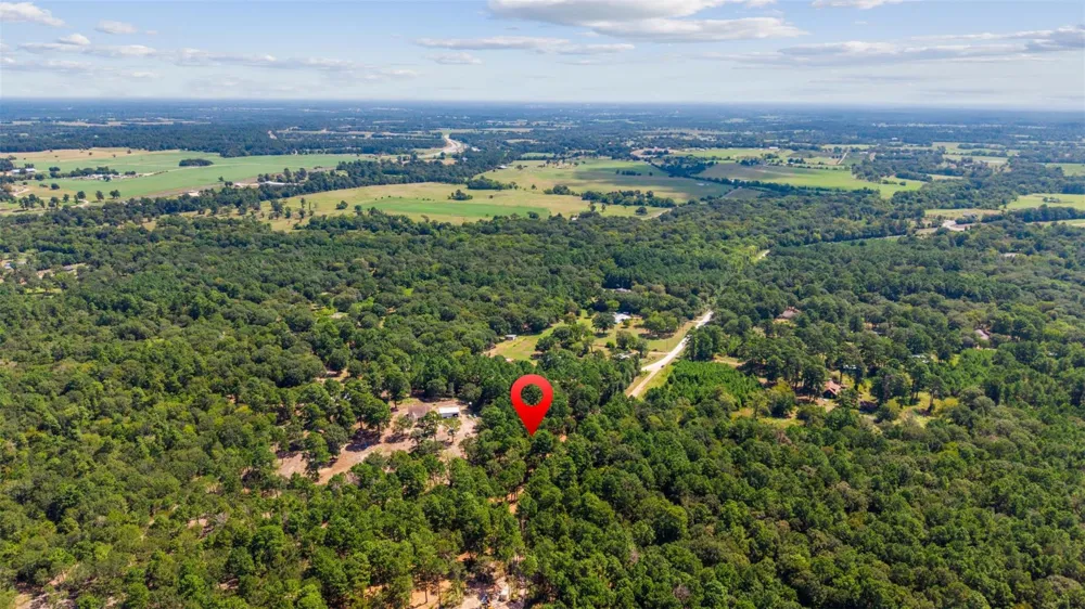 Mitchell Lane Plantersville, TX 77363