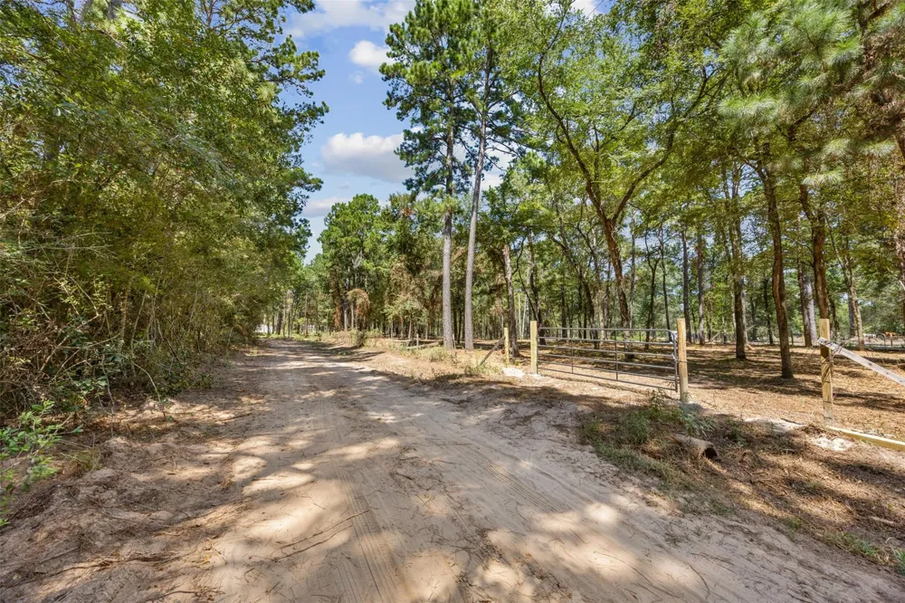 Mitchell Lane Plantersville, TX 77363