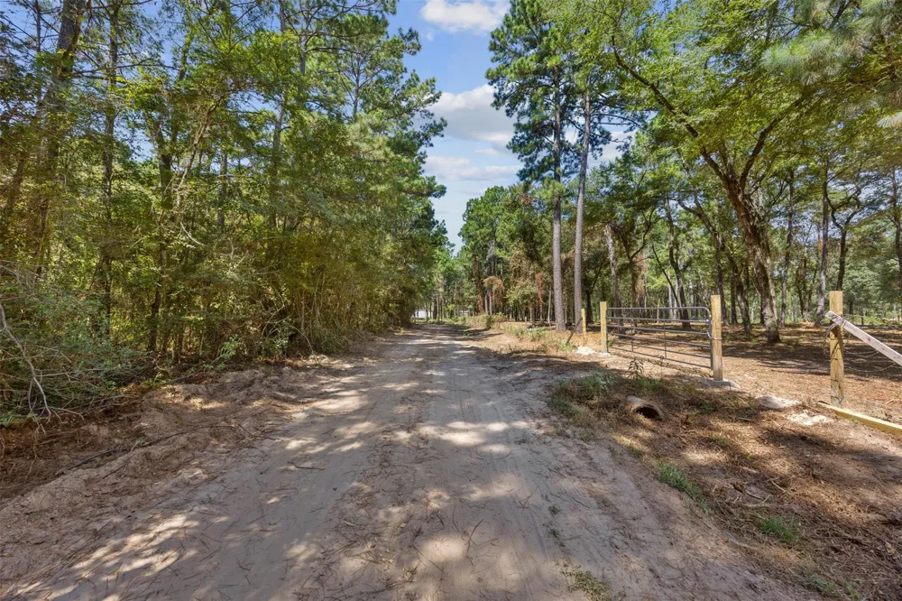 Mitchell Lane Plantersville, TX 77363