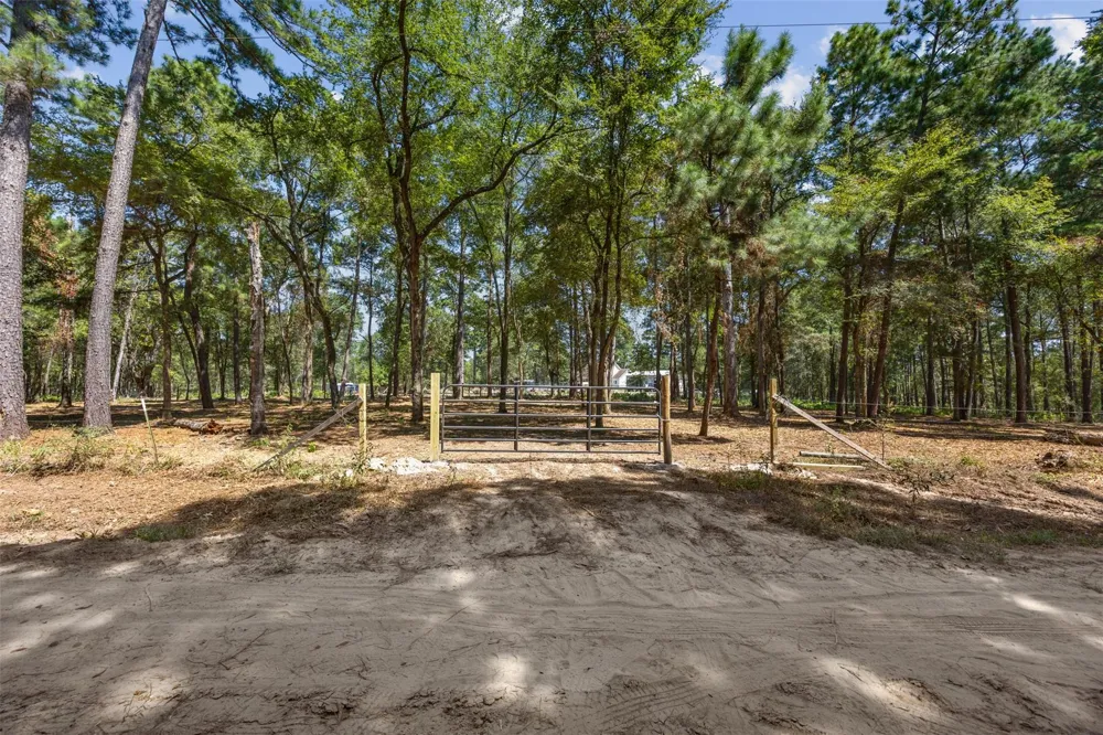 Mitchell Lane Plantersville, TX 77363