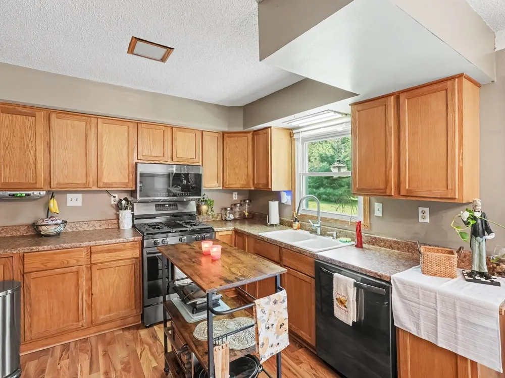 9000 Meridian Road Henrietta Township, MI 49272