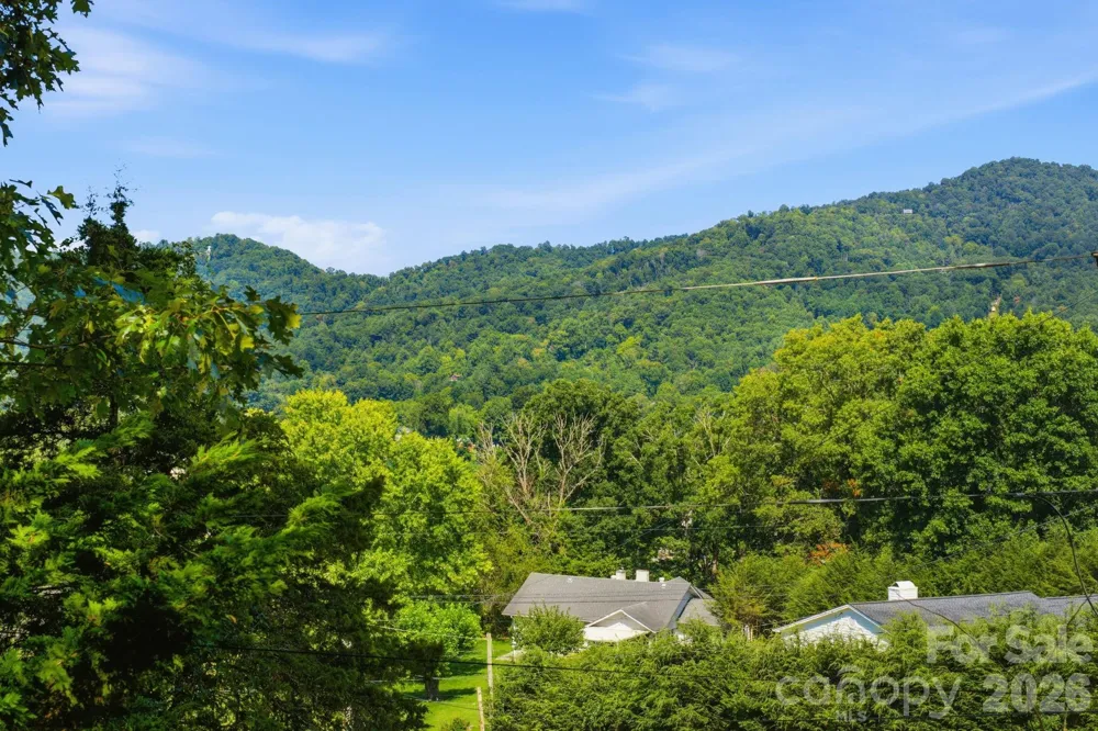 410 Mother In Law Lane Burnsville, NC 28714
