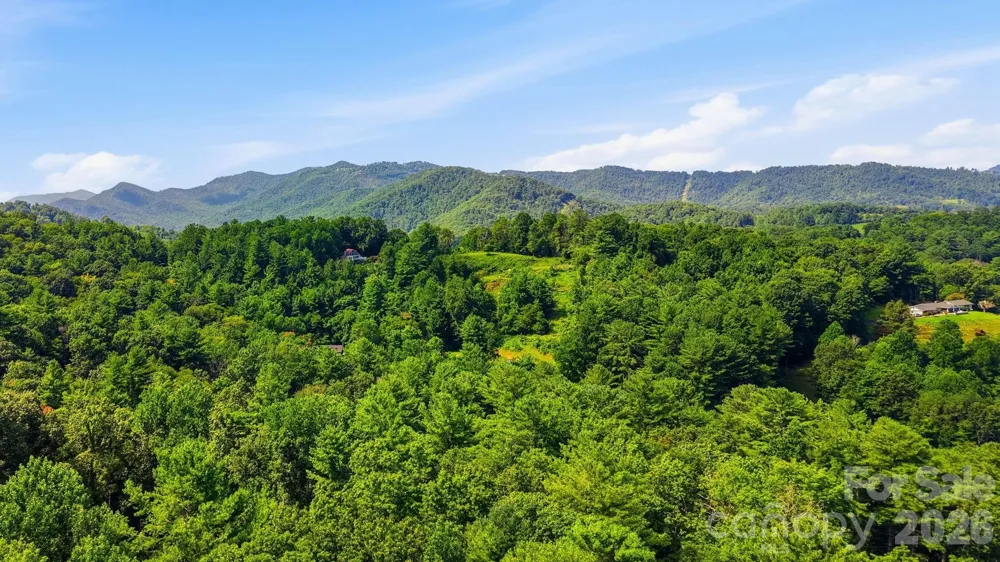 410 Mother In Law Lane Burnsville, NC 28714