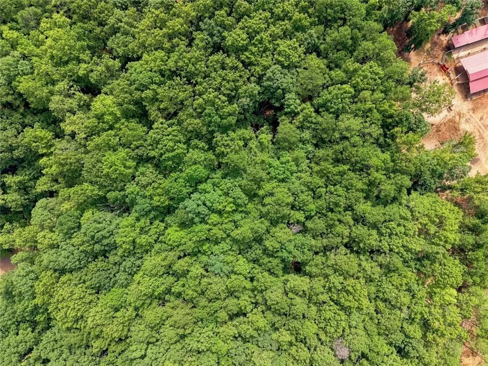 0 Shadow Wood Drive #Lot 2 Monroe, GA 30656