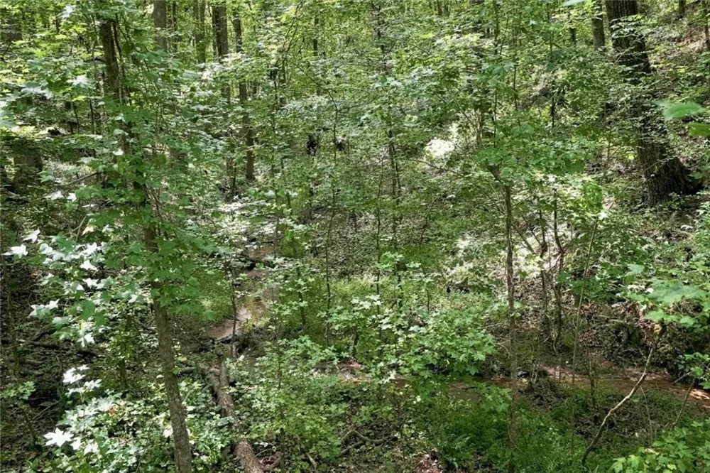 0 Shadow Wood Drive #Lot 2 Monroe, GA 30656
