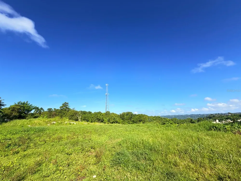 CARR 119 km 27.9 int BO HOYAMALA San Sebastian, PR 00685