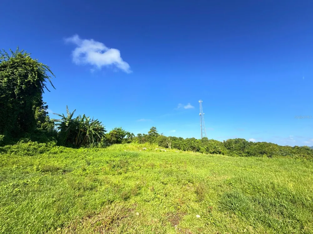 CARR 119 km 27.9 int BO HOYAMALA San Sebastian, PR 00685