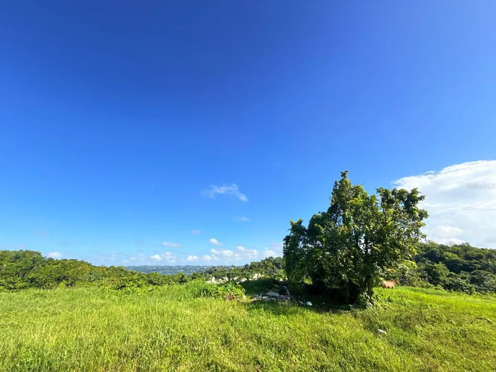 CARR 119 km 27.9 int BO HOYAMALA San Sebastian, PR 00685