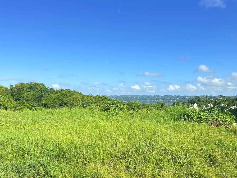 CARR 119 km 27.9 int BO HOYAMALA San Sebastian, PR 00685