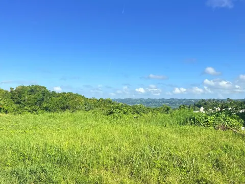 CARR 119 km 27.9 int BO HOYAMALA