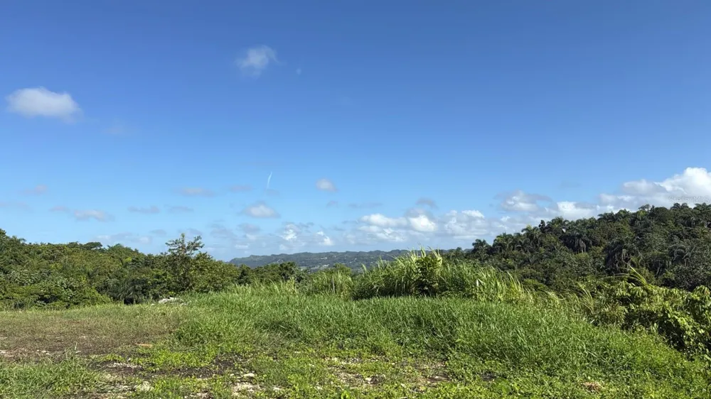 CARR 119 km 27.9 int BO HOYAMALA San Sebastian, PR 00685