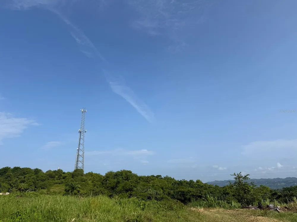CARR 119 km 27.9 int BO HOYAMALA San Sebastian, PR 00685