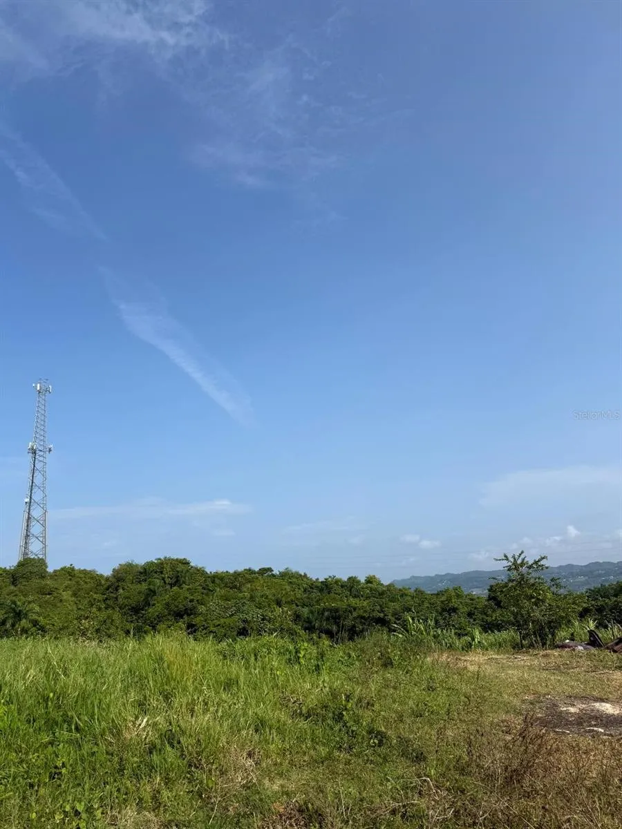 CARR 119 km 27.9 int BO HOYAMALA San Sebastian, PR 00685