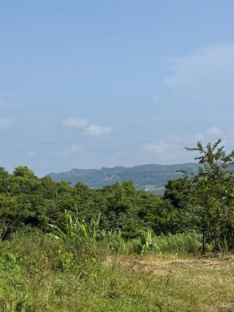 CARR 119 km 27.9 int BO HOYAMALA San Sebastian, PR 00685