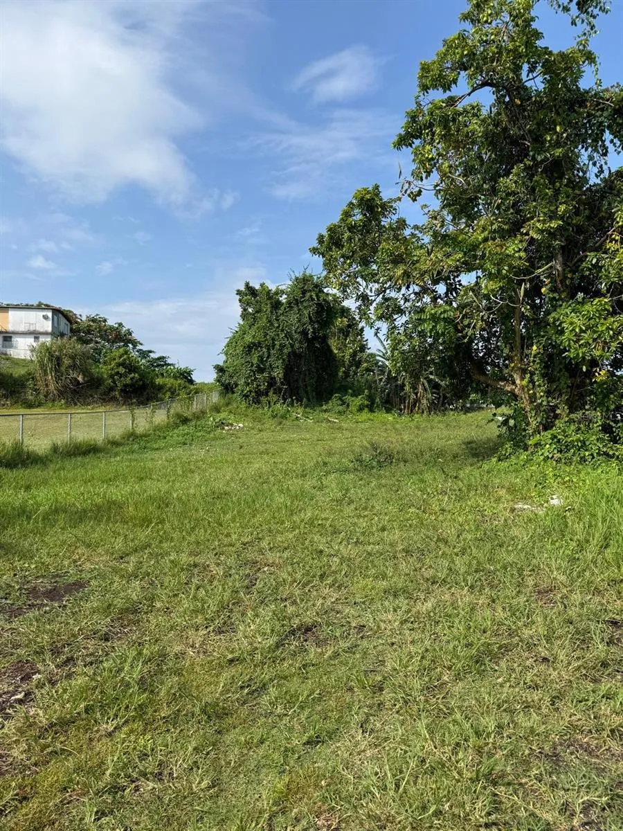 CARR 119 km 27.9 int BO HOYAMALA San Sebastian, PR 00685