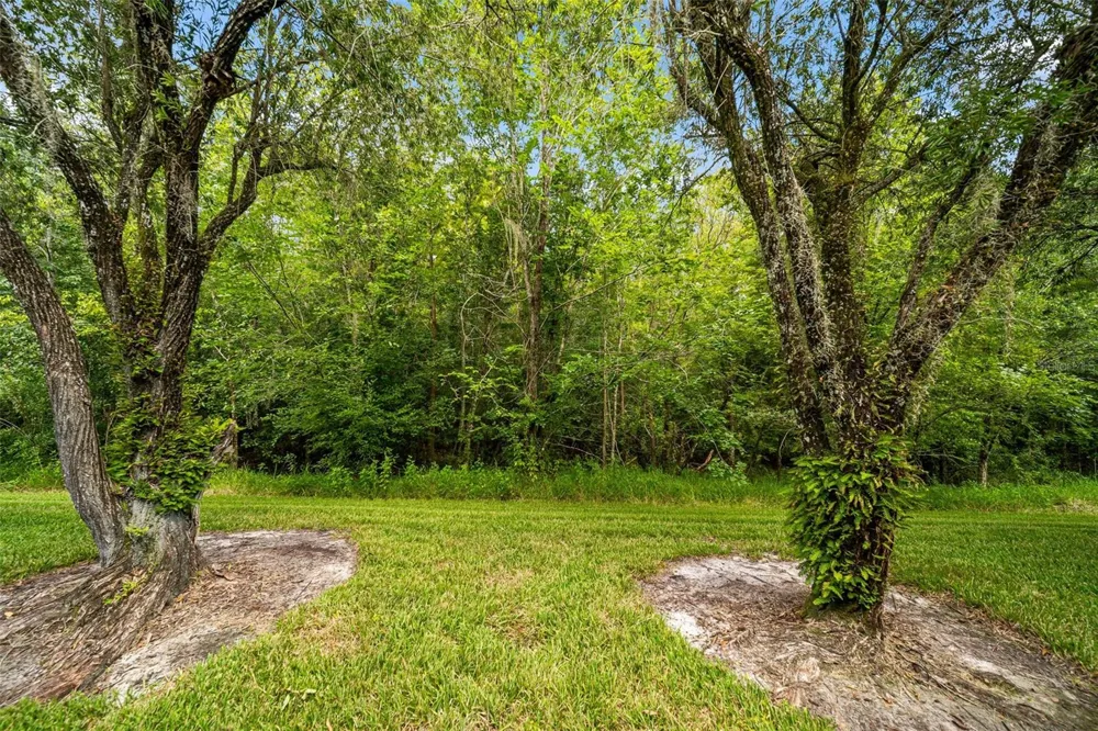 18171 PARADISE POINT DRIVE Tampa, FL 33647