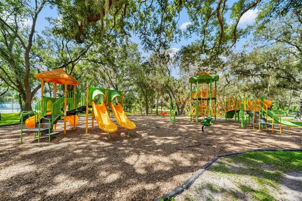 18171 PARADISE POINT DRIVE Tampa, FL 33647