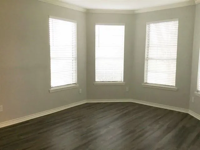 3506 Pine Tree Drive Pearland, TX 77581