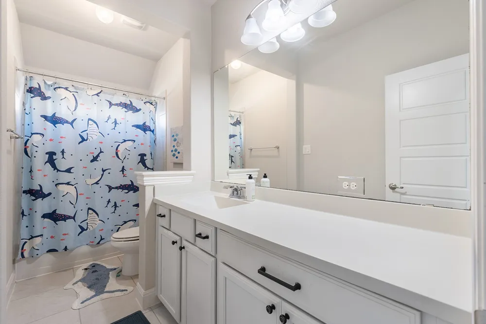 20609 Mouflon Drive Pflugerville, TX 78660
